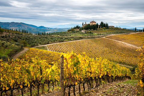 Florence: Tuscany Highlights Bus Tour with Winery Visit