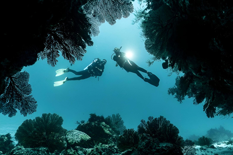 2 días de buceo en Santa Cruz - Islas Galápagos