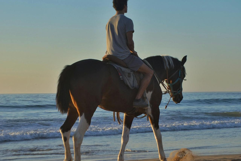 Paphos: Sea Caves Beginner Horseback Ride by the Coast
