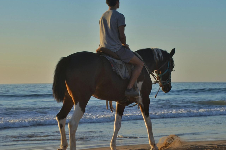 Paphos: Sea Caves Beginner Horseback Ride by the Coast