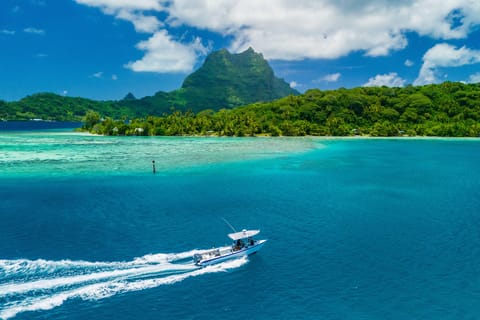 Bora Bora : Sortie de pêche privée en Poti Marara moderne