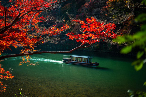 Tokyo: 8-Day Tour with Fuji, Kyoto, Nara, Hiroshima & Osaka Day 8 - Osaka Highlights (Spanish)