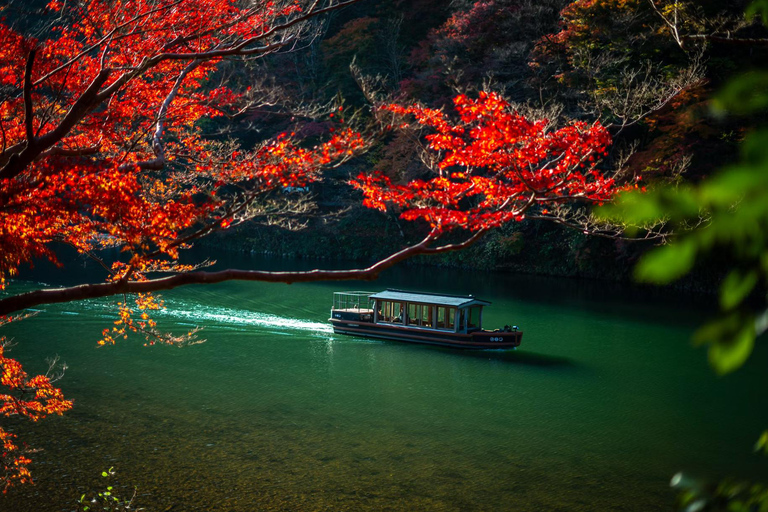 Tokyo: 8-Day Tour with Fuji, Kyoto, Nara, Hiroshima & Osaka Day 8 - Osaka Highlights (Spanish)