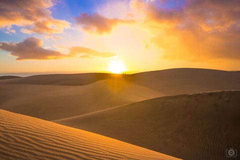 Doha: Safari nocturno por el desierto en 4x4 y estancia en campamento