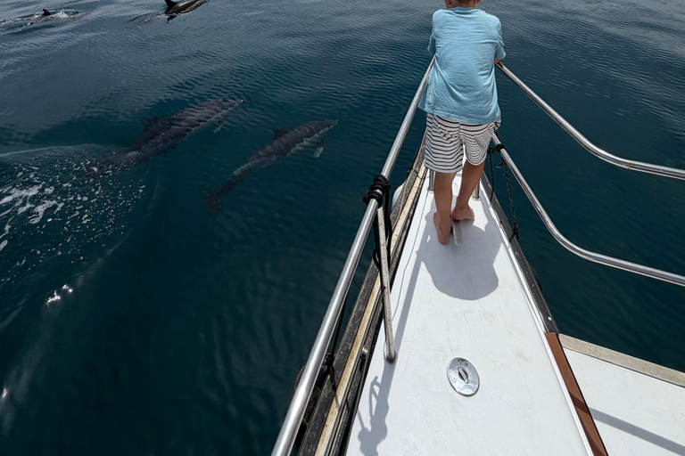Benalmádena Catamaran Sightseeing Tour: Tapas Food Tasting, Drinks, Swimming & Dolphins Benalmádena Catamaran Tour: Tapas Tasting, Drinks, Swimming, and Dolphins