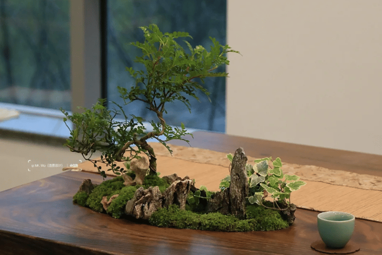 Guangzhou: Mini Landscape Bonsai Making Experience