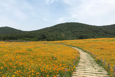 Shanghai: Wuxi Lingshan Grand Buddha & Nianhua Bay Tour