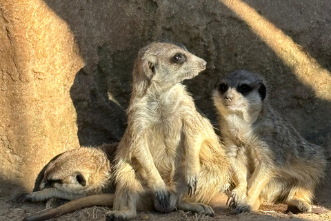 Cordoue : entrée au Centre de conservation Zoo CórdobaCordoue : Entrée au Centre de conservation du zoo de Cordoue