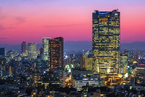 Tokyo City Tour: Private Full-Day Tour with Hotel Pickup Comfortable, air-conditioned Vellfire for 1–6 guests-8- Hour