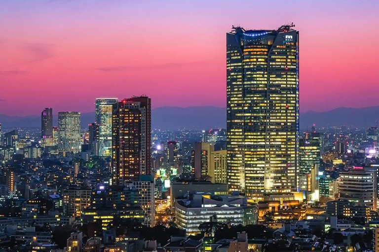 Tokyo City Tour: Private Full-Day Tour with Hotel Pickup Comfortable, air-conditioned Vellfire for 1–6 guests-8- Hour