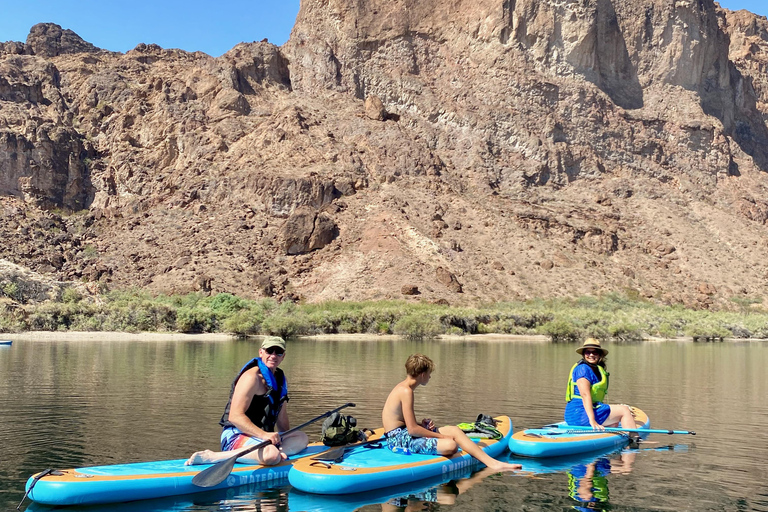 Plage de Willow : Location de paddle board