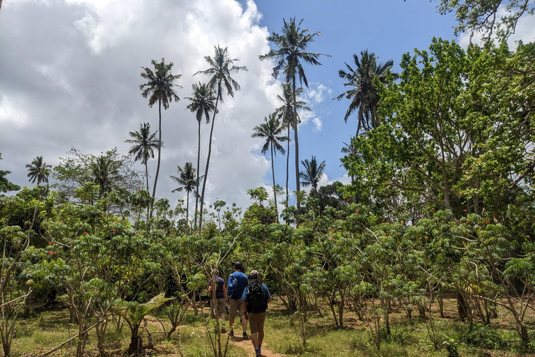 Spice Farm Bike Tour: Pedal Through Aromatic Adventures