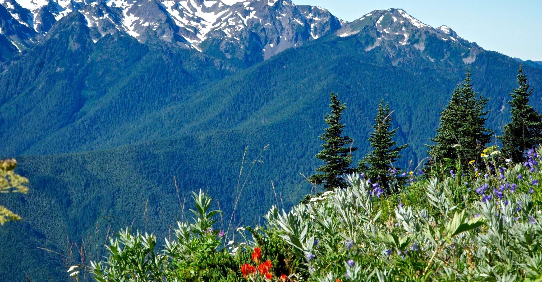 Seattle, Olympic National Park Small-Group Tour - Housity