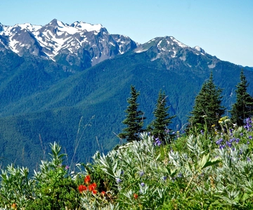Seattle: Olympic National Park Small-Group Tour