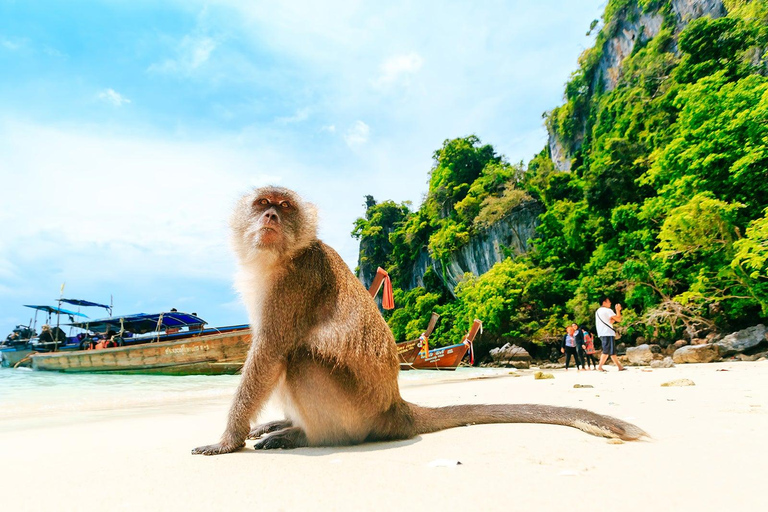 Depuis Phi Phi : Journée complète de plongée avec tuba en bateau à longue queue