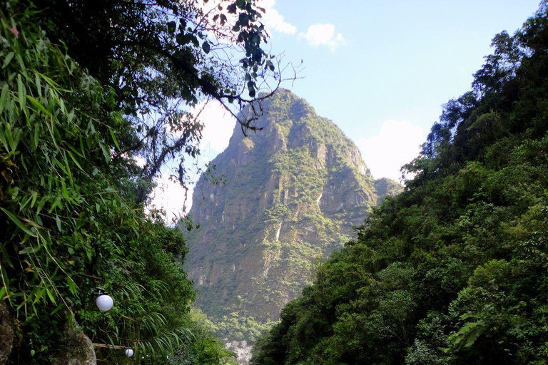 Cusco : Aventure dans la jungle inca : 4 jours et 3 nuitsAventure régulière dans la jungle inca : 4 jours et 3 nuits