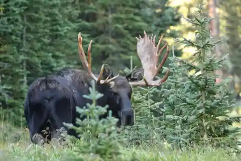Full-Day RMNP Over the Top Tour - RMNPhotographer