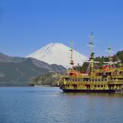 De Tokyo à Hakone : Billets de train et Hakone Free Pass