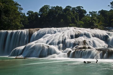 Chiapas: Blue Water - Misol-Ha Palenque Adventure San Cristobal: Blue Water - Misol-Ha Palenque Adventure