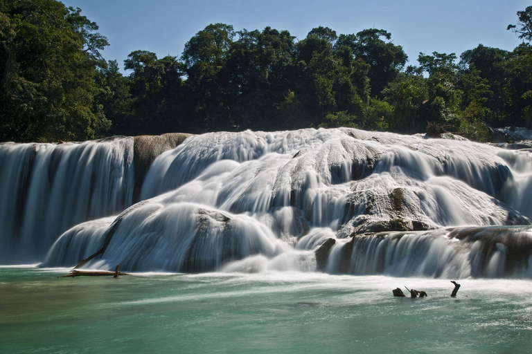 Chiapas: Blue Water - Misol-Ha Palenque Adventure San Cristobal: Blue Water - Misol-Ha Palenque Adventure