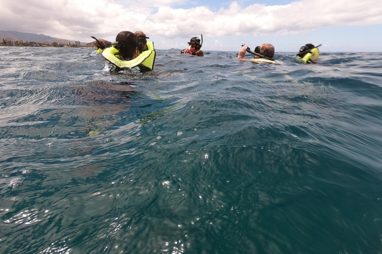 Oahu: Eco-Friendly West Oahu Snorkel Sail with Dolphins Snorkel Tour with Meeting Point