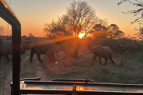 Pilanesberg full safari including lunch and transportation