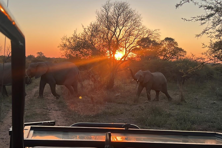 Pilanesberg full safari including lunch and transportation