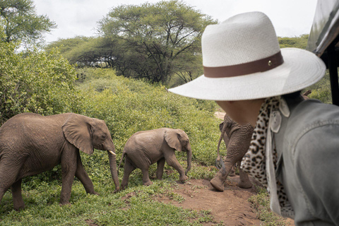 Safari économique de 2 jours dans le Tarangire et le Ngorongoro au départ de Zanzibar