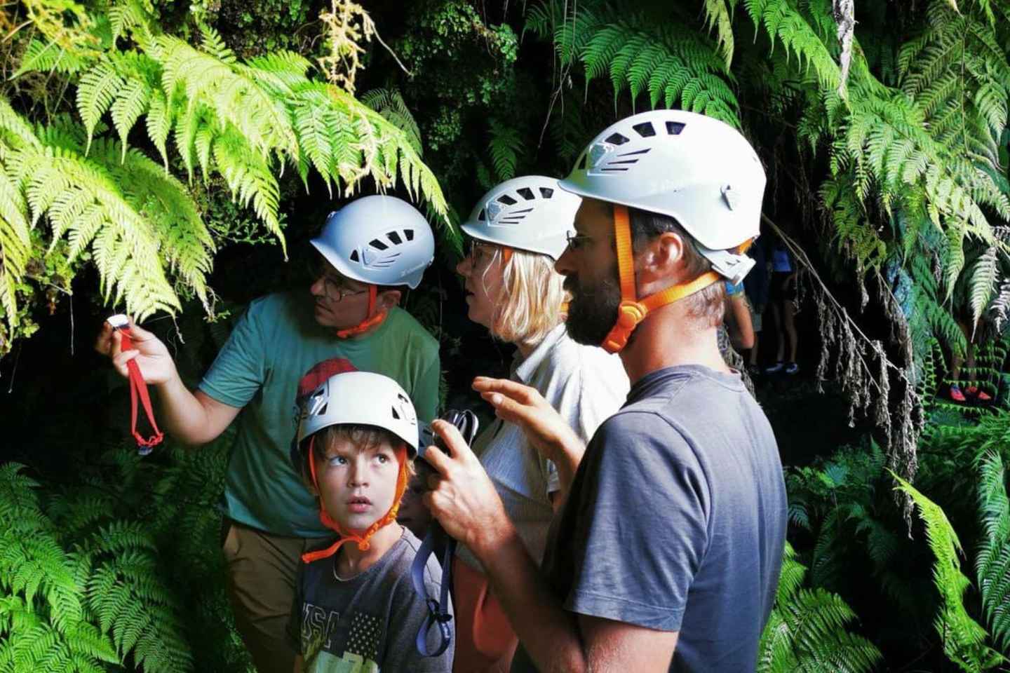 Pico Island: Private Highlights Tour