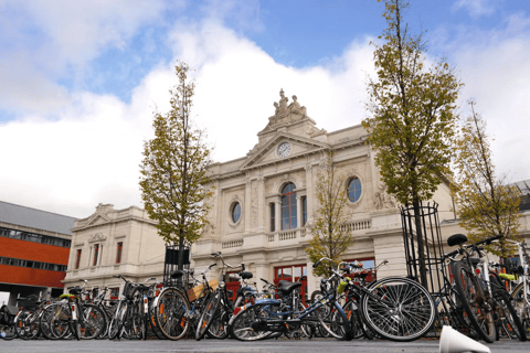 Guided visit of Leuven.