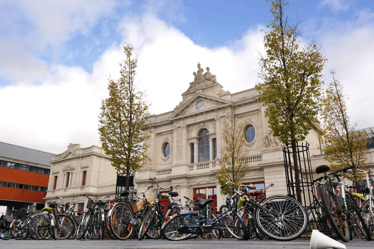 Wycieczka z przewodnikiem po Leuven.