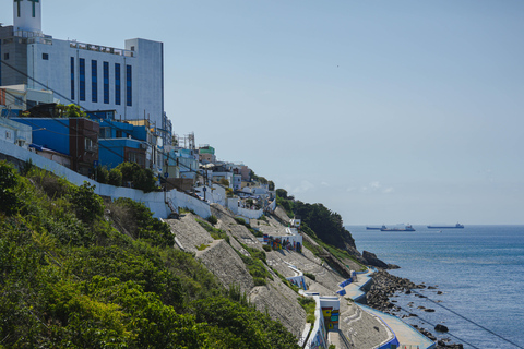Busan: Power Walk Tour with a Local Mate