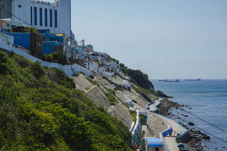 Busan: Power Walk Tour with a Local Mate