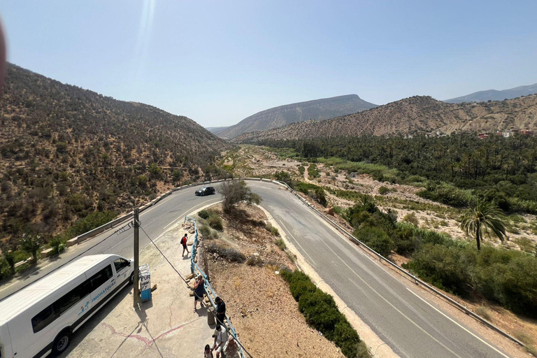 Agadir: High Atlas Mountains, Goats on Trees & Garden Tour