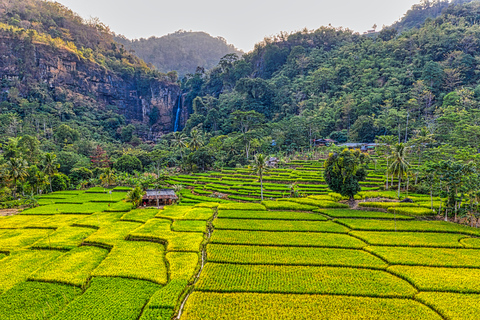 Dimbulagala Eco Trekking and Village Tour From Polonnaruwa