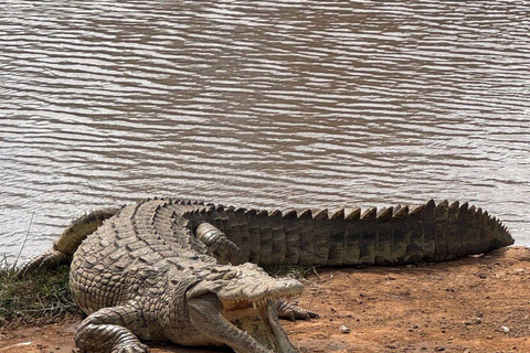 Mombasa/Diani: 2-Day Tsavo East Safari with Meals Private day tour to Tsavo East National Park - VAN