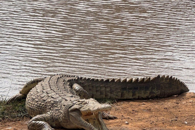 Mombasa/Diani: 2-Day Tsavo East Safari with Meals Private day tour to Tsavo East National Park - VAN