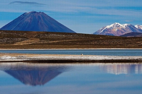 Full day excursion to the Salinas Lagoon Arequipa