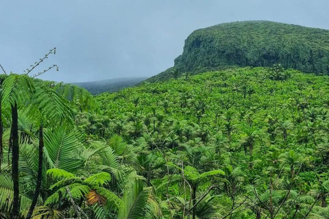 Vandring på vulkanen La Soufriere i St vincent