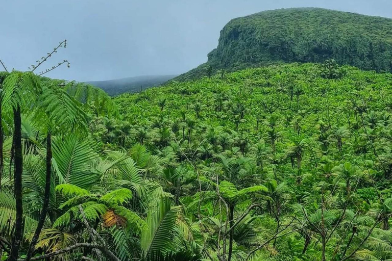 Excursión al volcán de la Soufriere en San Vicente