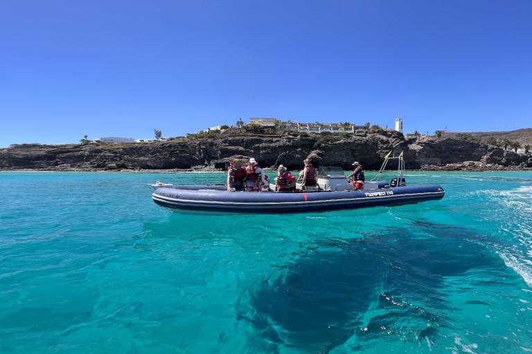 Fuerteventura : Expérience avec les dauphins en zodiacFuerteventura : expérience avec les dauphins
