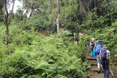 Mount Kilimanjaro een dagwandeling naar het basiskamp voor een kleine groep