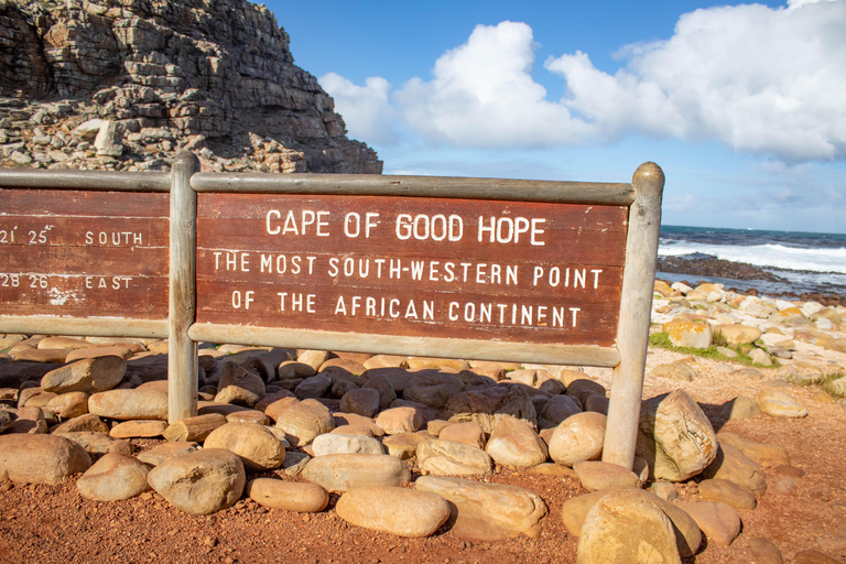 Kaap Schiereiland: Hele dag privé tour