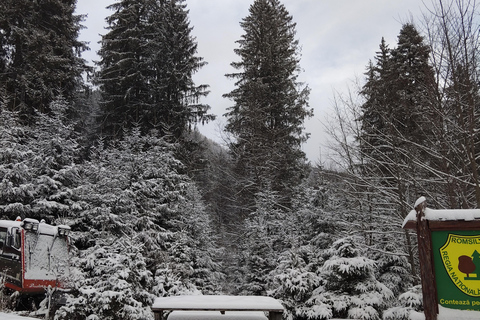 Bucharest: Carpathian Mountains Snowmobile Tour Sinaia