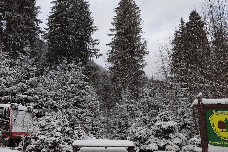 Bucharest: Carpathian Mountains Snowmobile Tour Sinaia