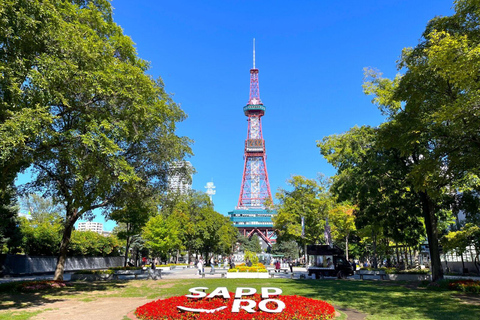 Sapporo: Buddha Hill, TV Tower, and Sake Stand Bar Tour