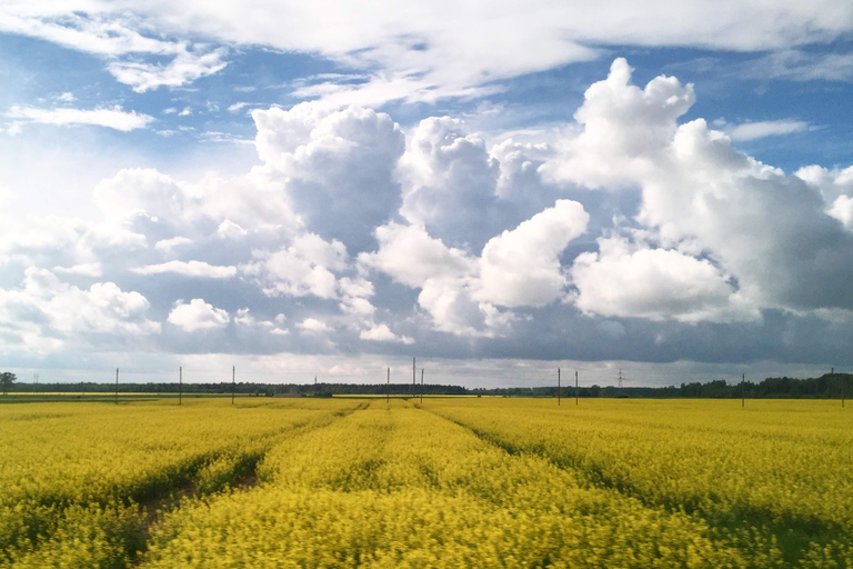 Baltics: Private Multi-Day Tour with Flexible Start