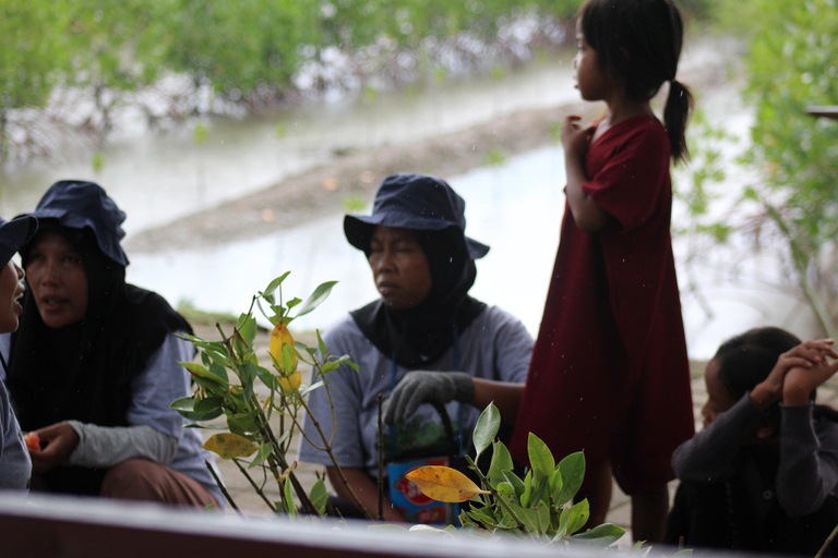 Bagek Kembar: Mangrove & Stingless Beekeeping Experience