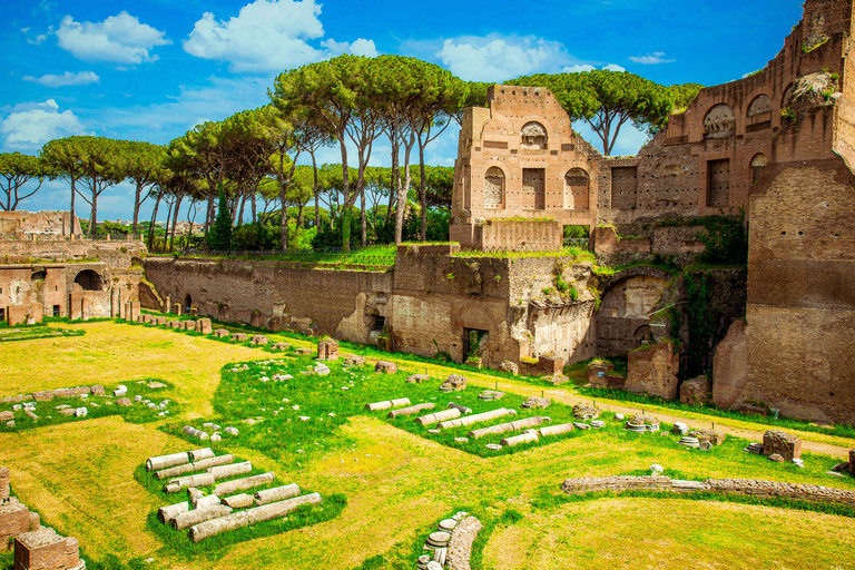 Rom: Colosseum Colosseum, Forum och Palatinkullen Guidad tur i ImperialTur med tysk guide och tillgång till arenan