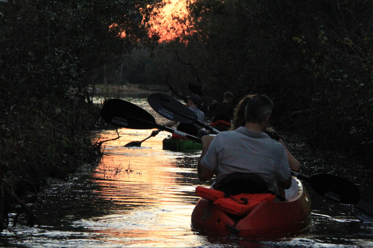 Orlando: Sunset guided kayaking tour